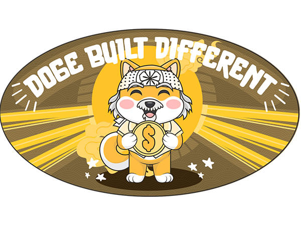 New Crypto DogeMiyagi Introducing The Best Token Burn Strategy To Rival BNB And VTHO Token Burning