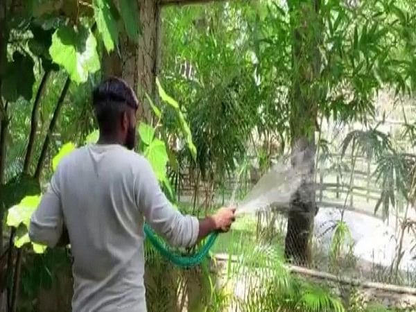 Chhattisgarh: Bhilai's Maitri Bagh Zoo braces up for summer; makes special arrangements for animals