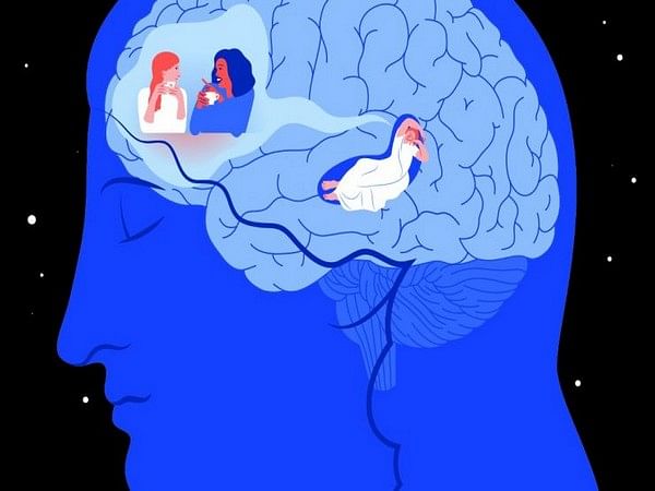 Israeli research reveals brain's mechanism for memory consolidation during sleep