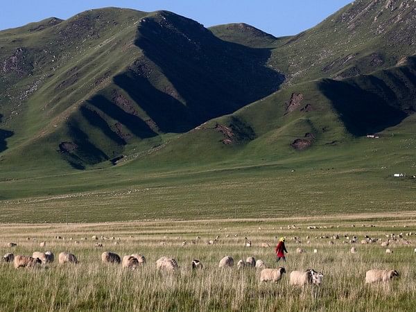 China forcibly seizes Tibetan farmers' land to build hydropower dam: Report