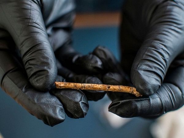 12,000-year-old flutes imitated bird calls, say archaeologists