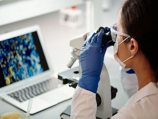 Study reveals how ultrasound is promising technique for treating cancer