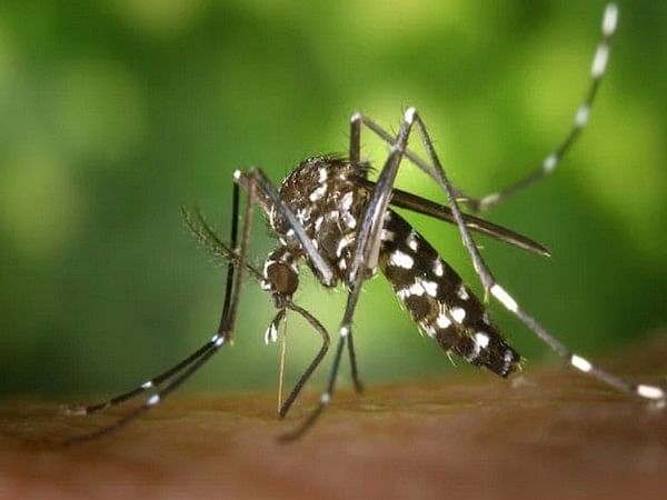 Study finds molecular sensor that allows malaria parasite to cause harm