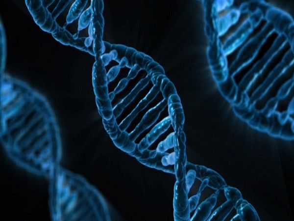 Emirati Genome Programme launches new visual identity