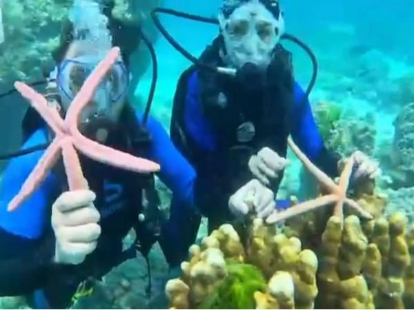 Thailand: Selfie with starfish lands Chinese tourists in jail
