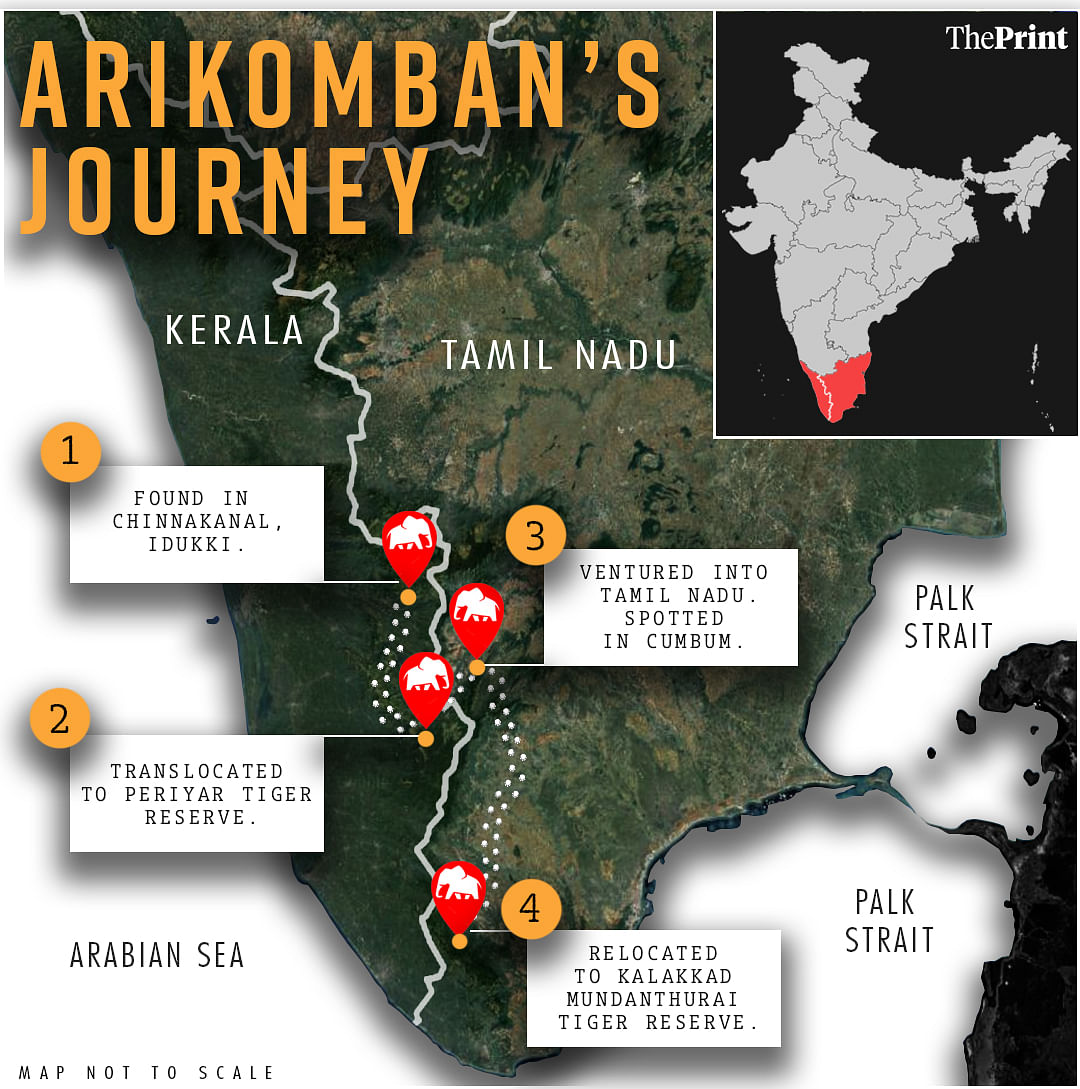 Arikomban has had a long journey between Kerala and Tamil Nadu. Graphic: Soham Sen | ThePrint