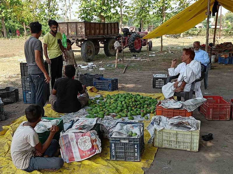 Mangoes at the mosque 