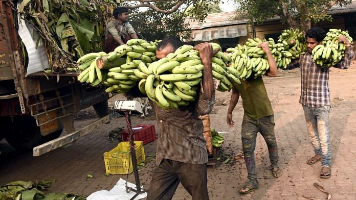Bananas being unloaded from a truck for sale | representational image | AN