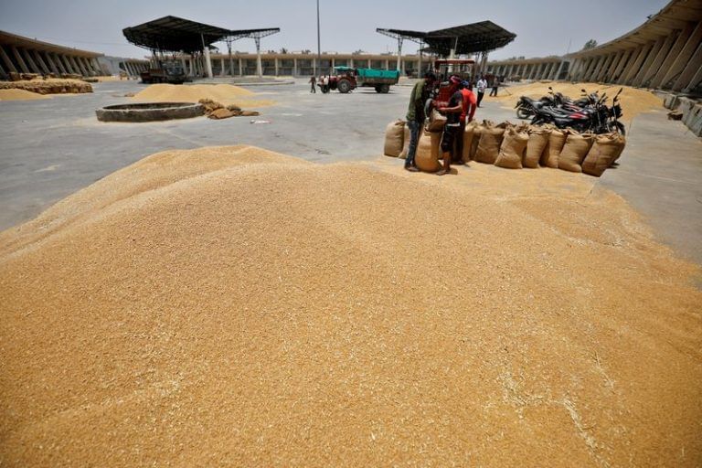 Wheat output 10% lower than govt estimates amid sharp rise in local prices, says trade body
