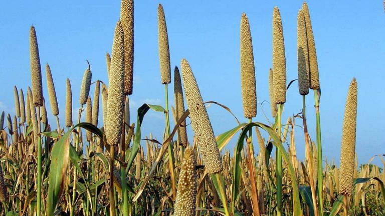 SubscriberWrites: Millets: Public health, climate & sustainable agriculture