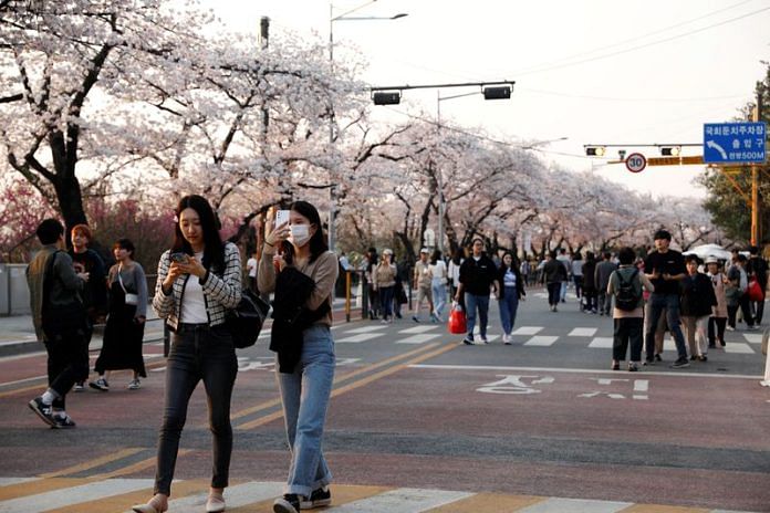 People walk near blooming cherry blossoms in Seoul, South Korea | Reuters file photo