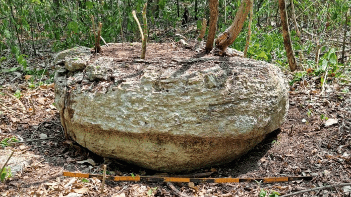 A view shows a part of a stone from an altar after archaeologists from Mexico's National Institute of Anthropology and History (INAH) discovered an ancient Mayan city inside the Balamku ecological reserve in Campeche state, Mexico in this photo released and distributed by Mexico's National Institute of Anthropology and History on June 20, 2023/Reuters