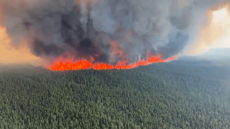 ‘Climate crisis is real’: International help rolls in for Canada to fight worst-ever wildfires