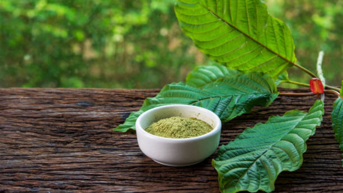 Maeng Da Kratom: Benefits, Uses, Strains & Dosage