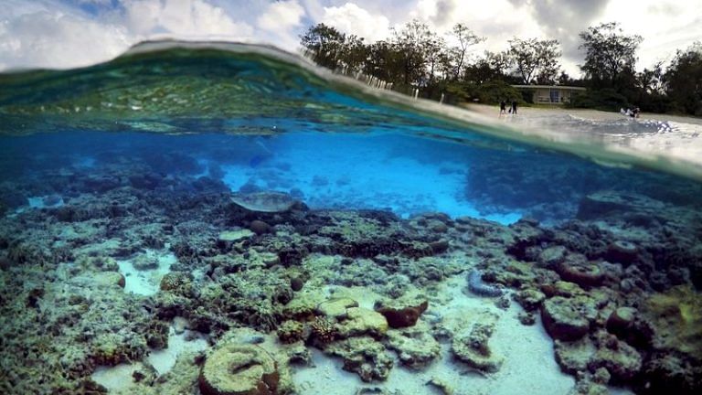 UN adopts world’s first treaty to protect high seas, marine biodiversity in international waters