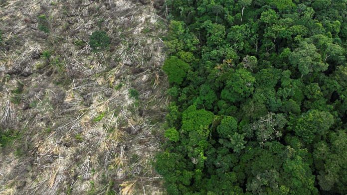 An aerial view shows a deforested area during an operation to combat deforestation near Uruara, Para State, Brazil | Reuters/Ueslei Marcelino/File photo