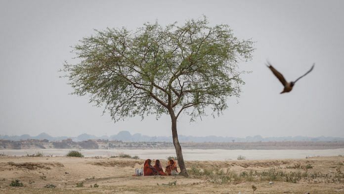 Women rest under a tree on a hot summer day in Ballia District in the northern state of Uttar Pradesh | Reuters