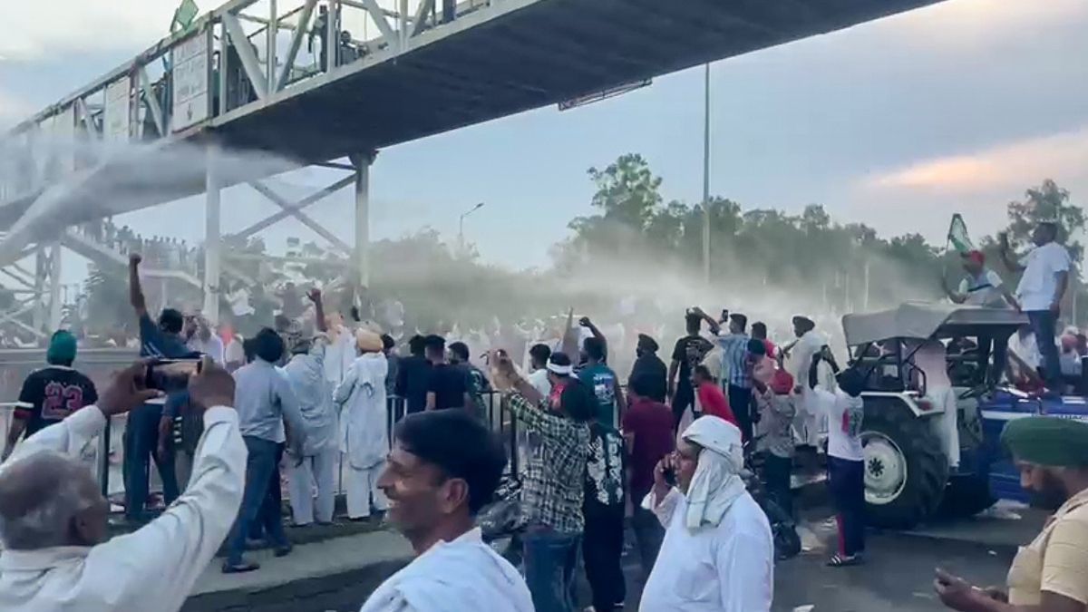 What's the sunflower MSP dispute that has Haryana farmers on warpath