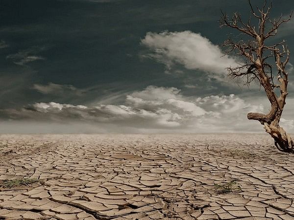 Drought gives rise to dust storms in Afghanistan, analysts blame Taliban
