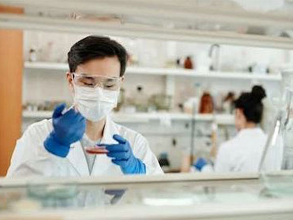 Researchers use extraembryonic tissue to produce entities that resemble human embryos
