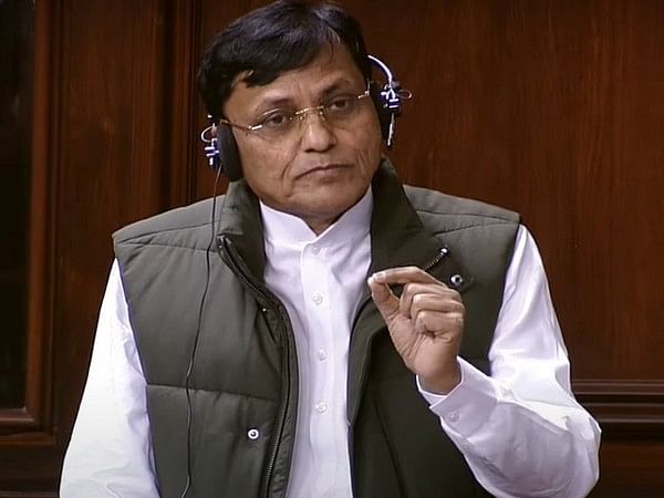 Unauthorised websites trying to intermediate, facilitate issuance of India e-Visa: MoS Nityanand Rai