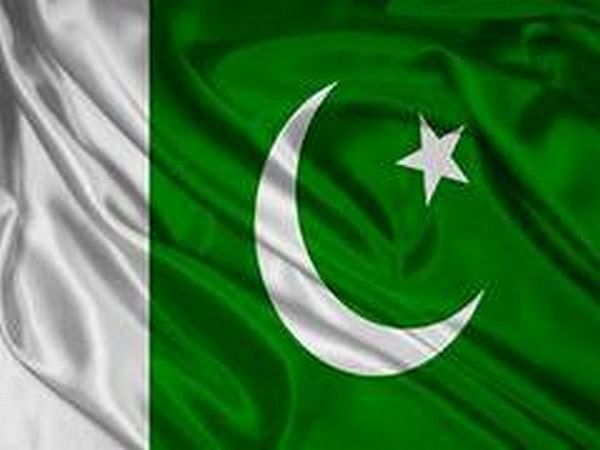 PTI and Pakistani flag Png