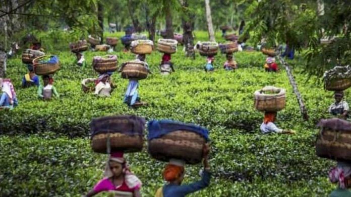 Representative image of an Assam tribe | Photo: PTI