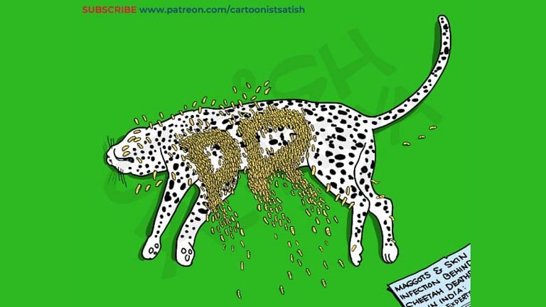 Fate of ‘Project Cheetah’ and Congress-AAP ‘on the same path’