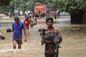 A man rescues a dog from the Delhi flood | Suraj Singh Bisht | ThePrint