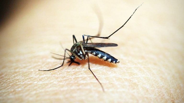 12 African nations to receive 18 mn doses of 1st-ever malaria vaccine over next 2 yrs, says WHO