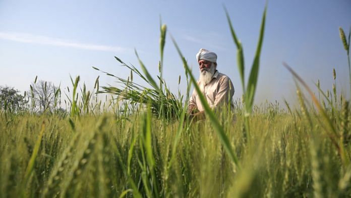 Agriculture contributes to 30% of Punjab's income | Representational image | ANI