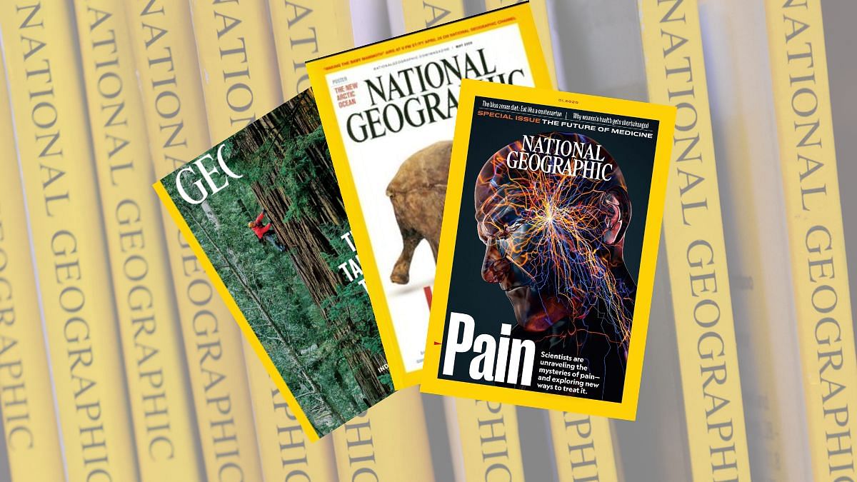 National Geographic taught me how entire species can die. As do magazines