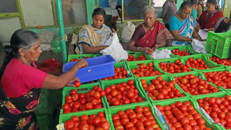 McD to Modi, inflation to Opposition — tomato prices have spared none. Is it the next onion?