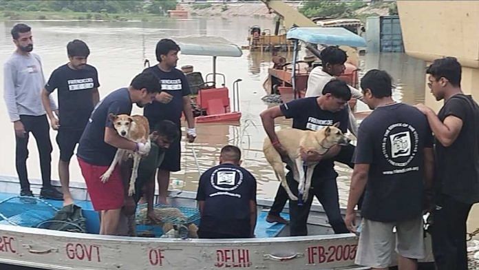 Friendicoes volunteers rescue dogs from flooded Yamuna | Shubhangi Misra | ThePrint