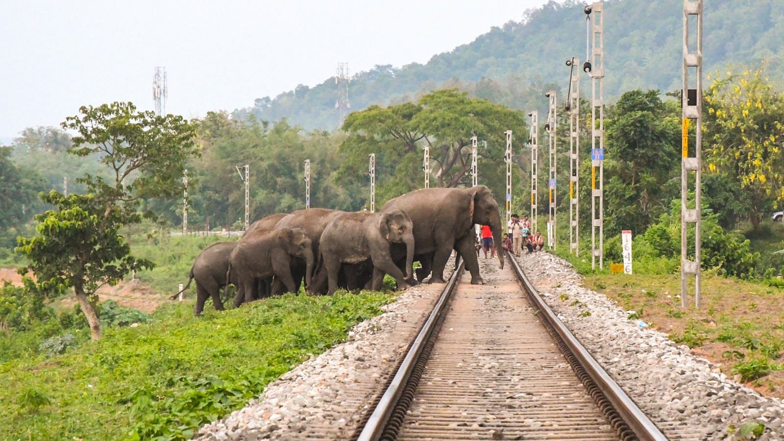 Alone Girl, Walking On Railway Track, railway track, walking, camera, pose,  HD phone wallpaper | Peakpx