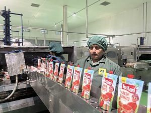 Kissan ketchup produced at Sahyadri Farms plant in Nashik | Photo: Fehmi Mohammed, The Plate