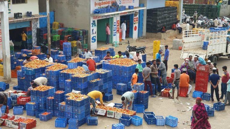 Biggest tomato market from June-August, Kolar feels the heat — poor rain, plant disease hit trade