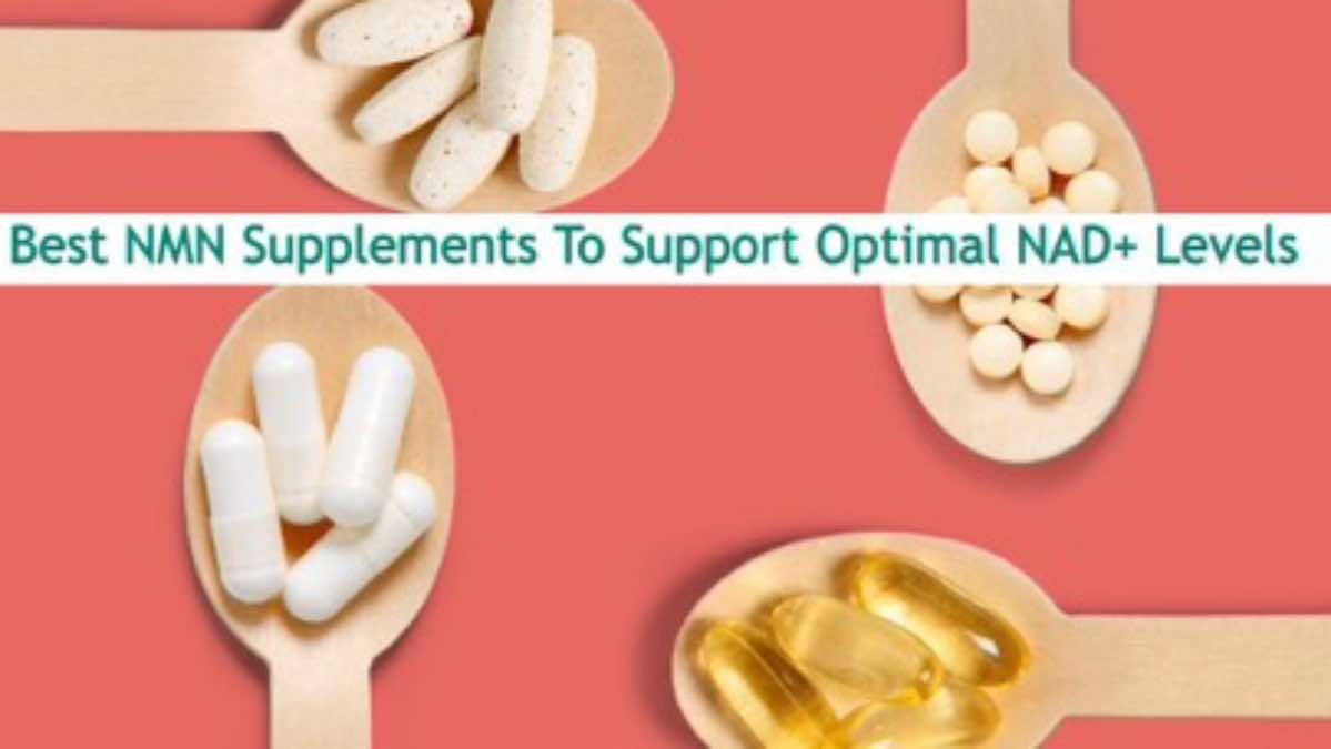 Best NMN Supplements To Support Optimal NAD+ Levels