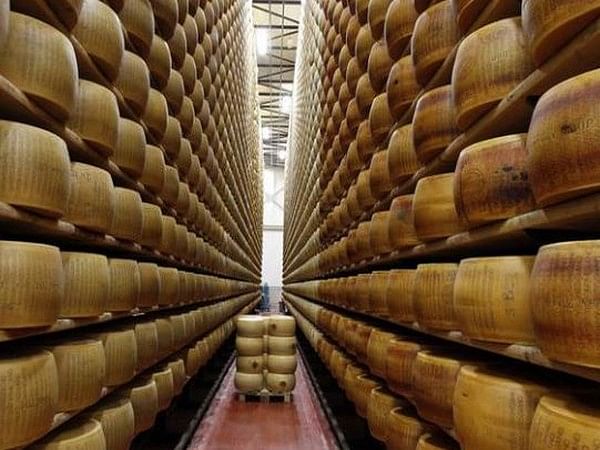 Italian man dies after being crushed by falling cheese wheels 