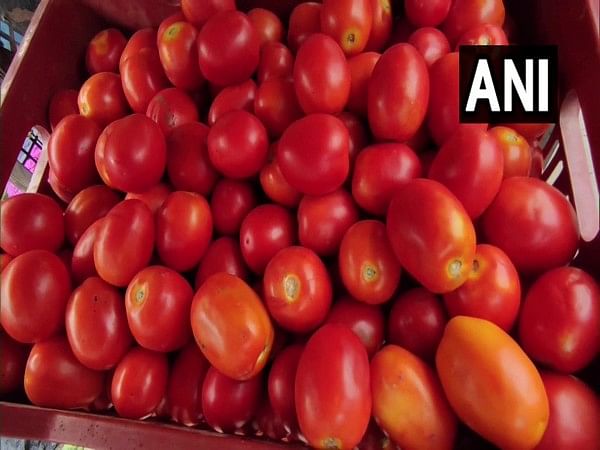 Centre further slashes retail tomato prices; to be now sold at Rs 50/kg