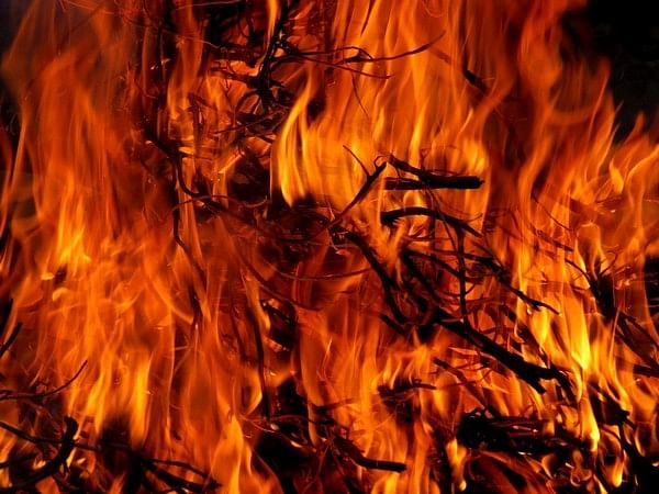 Dry lightning may spark wildfires even under wetter conditions: Study