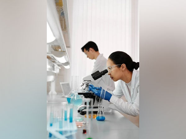 To harvest fresh water out of vapour in air, researchers take inspiration from spider webs, beetles