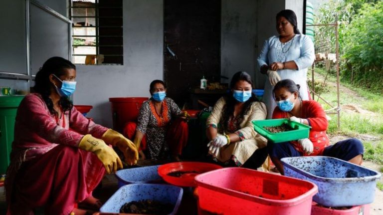 Fly larvae breeding success for women in Nepal village
