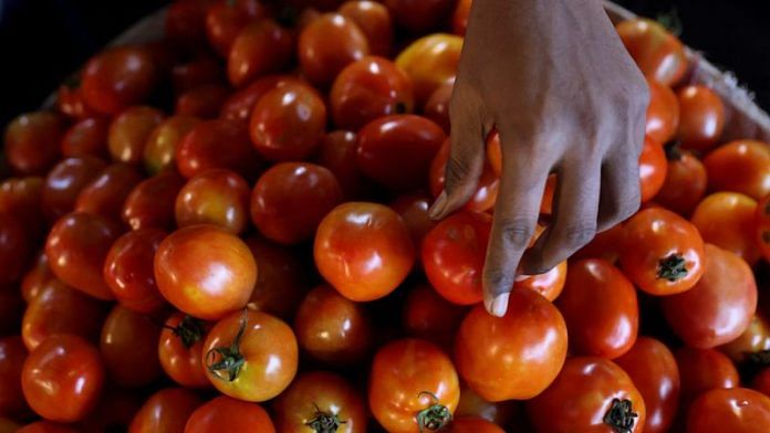 A vegetable vendor sorts tomatoes at a wholesale market in Navi Mumbai | Reuters