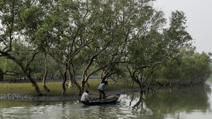 Men on a boat row past mangrove trees encircling the island of Satjelia in the Sundarbans, India, December 15, 2019 | Reuters
