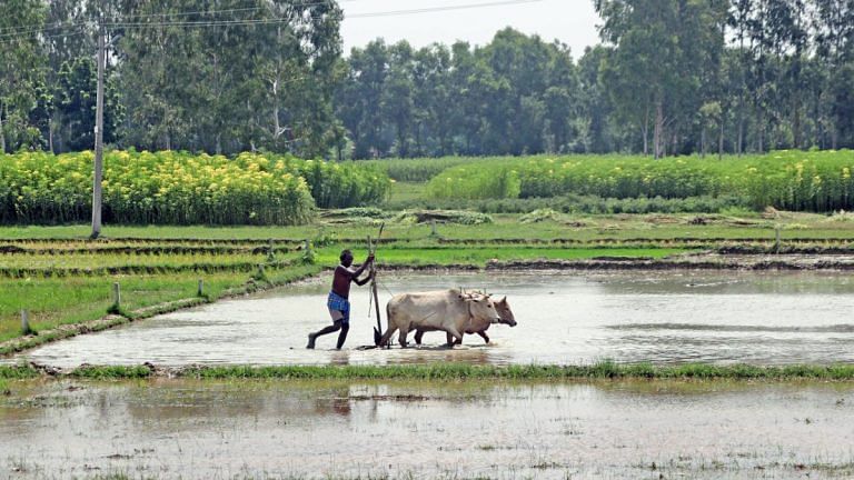 High on growth, low on development — what ails the economy of Madhya Pradesh
