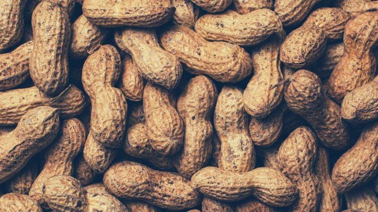 UK woman buys all nut packets on plane after crew reportedly ignores her severe allergy
