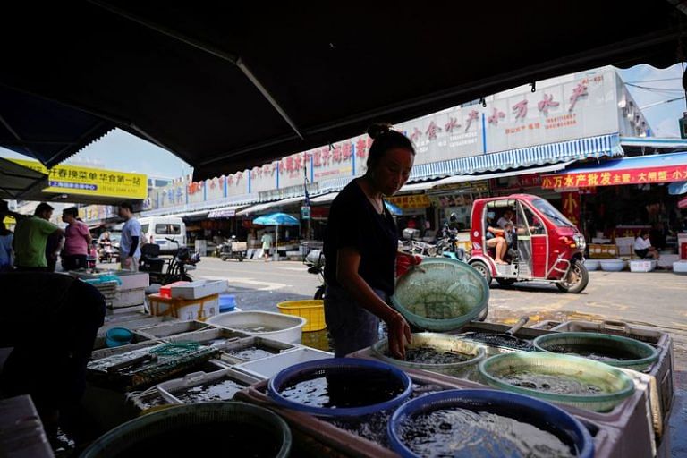 Japan tells its citizens in China to ‘keep a low profile’ after Fukushima treated water release