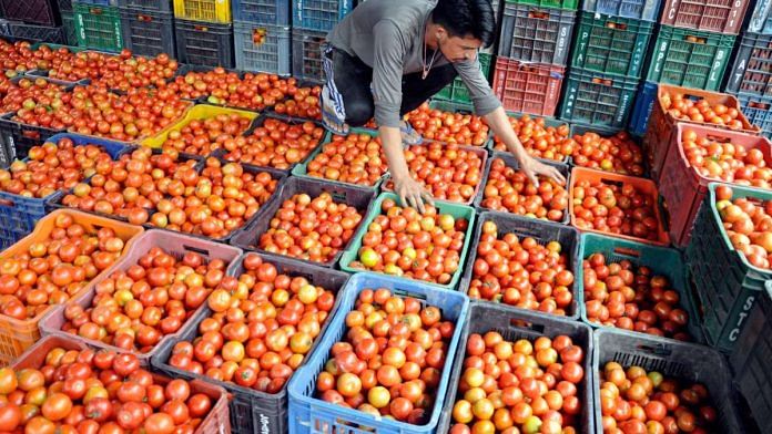 A vendor arranges tomatoes in crates for sale at a wholesale market in Kullu | Representational image | ANI file photo