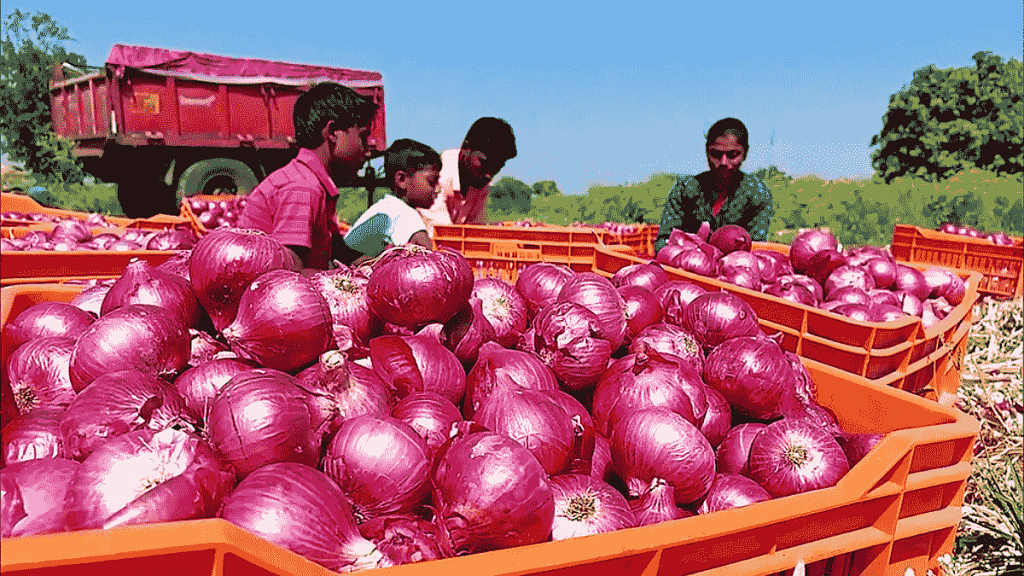 Representational image of onions | ANI